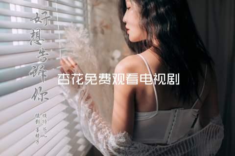 杏花免费观看电视剧